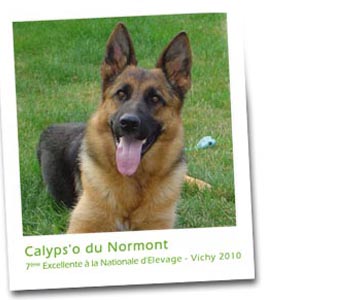 Calyps'o Du normont